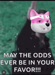 may the odds be ever in your favor meme blank