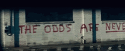 May The Odds Be In Your Favor GIF