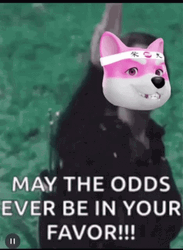 May The Odds Be In Your Favor Parody GIF