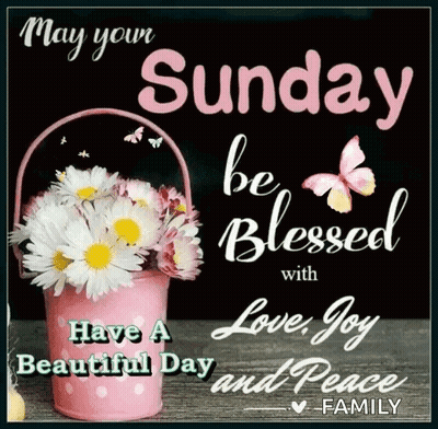 May Your Sunday Be Blessed GIF