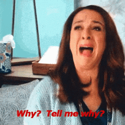 Maya Rudolph Crying And Asking Whyyy GIF