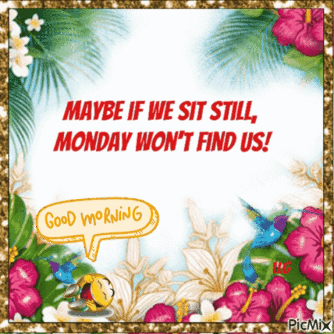 Maybe If We Sit Still Monday Won T Find Us Good Morning GIF