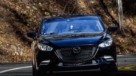Mazda Dog Car GIF