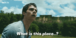 Maze Runner Dylan O'Brien GIF