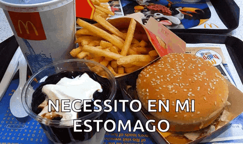 McDonald's Tray With Hamburger And French Fries GIF
