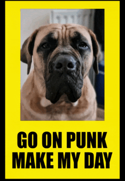 Mcfarlane Digital Meme GIF