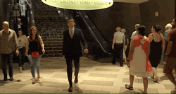 Mcgregor Walk Floyd Mayweather GIF