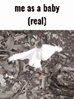 Me As A Baby Me GIF