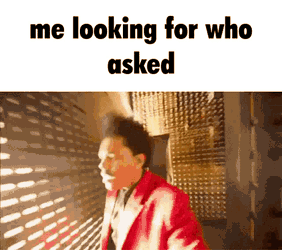 Me Looking For Who Asked Me Looking For Who Asked Meme GIF
