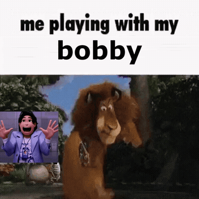 Me Playing With My Bobby Lion GIF