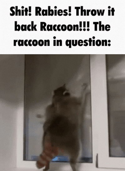 Me Realizing I Got Hit By The Rabies Master Secret Technique GIF