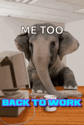 Me Too Elephant Working On Computer GIF