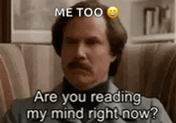 Me Too Will Ferrell Anchorman GIF