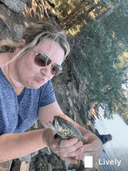 Me Trying To Kiss You Funny Fishing GIF