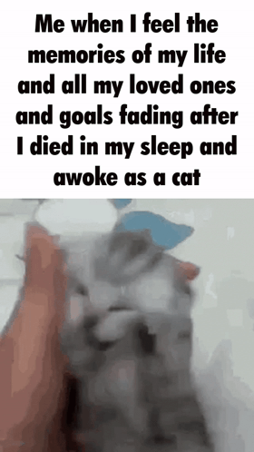 Me When I Feel The Memories Of My Life And All My Loved Ones And Goals Fading After GIF