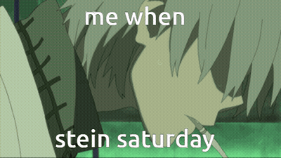 Me When Stein Saturday GIF