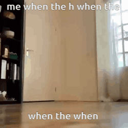 Me When The H GIF