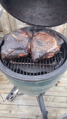 Meat Cooking On Green Egg Grill GIF