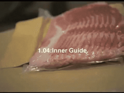 Meat In Plastic Bag With Text 1.04 Inner Guide GIF