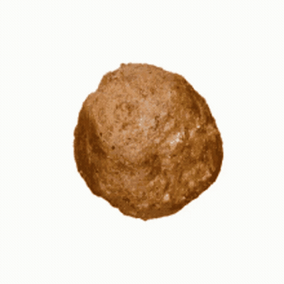 Meatball Got Those Meatballs On My Mind GIF
