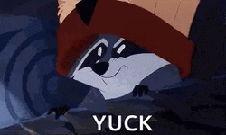 Meeko Pocahontas Yuck GIF
