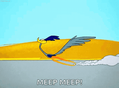 Meep Meep Bird Flying Over Desert Cactus GIF