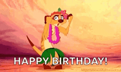Meerkat From Lion King Dancing In Lei And Hula Skirt GIF