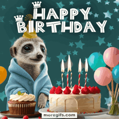 Meerkat In Robe And Hat Next To Birthday Cake GIF