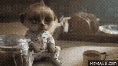 Meerkat Sitting At Table With Coffee And Food GIF