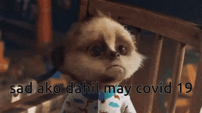 Meerkat Sitting In Chair Sad Ako Dahil May Covid 19 GIF