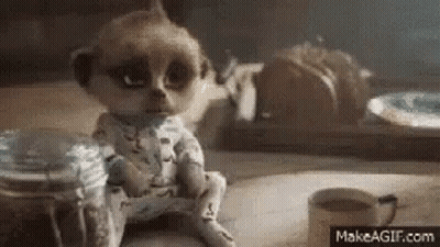 Meerkat Sitting Next To Coffee And Food Jar GIF