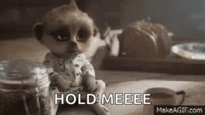 Meerkat Sitting With Food Jar GIF