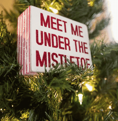 Meet Me Under The Mistletoe Sign GIF