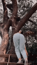 Melanie Martinez Falling GIF