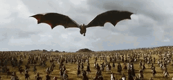 Meleys House Of Dragons Flying Above GIF