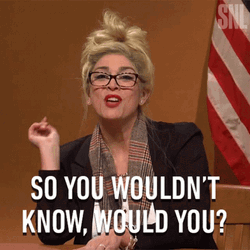 Melissa Carone You Wouldn't Get It GIF