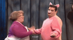 Melissa Mc Carthy Pig Ham GIF