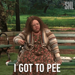 Melissa McCarthy Got To Pee GIF