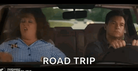 Melissa McCarthy Road Trip Meme GIF