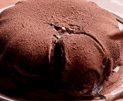 Melted Chocolate Cake