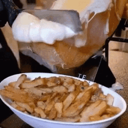 Melted Sour Cream On Fries GIF
