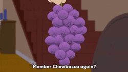 Member Berries Member Chewbacca