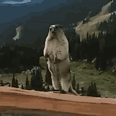 Meme About Planning 18+ On Chatrooms GIF