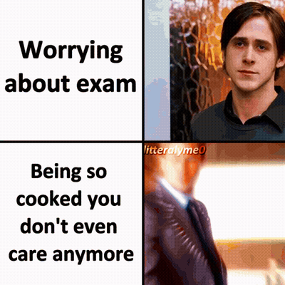Meme About Worrying About Exam Being So Cooked You Don't Even Care Anymore GIF