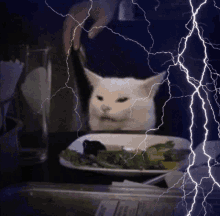Meme Cat And Lightning GIF