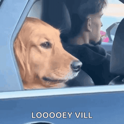 Meme Customdev After Watching Neon Genesis Evangelion And I Get It GIF