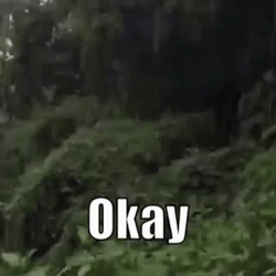 Meme Faces Man With Awkward Smile Okay GIF