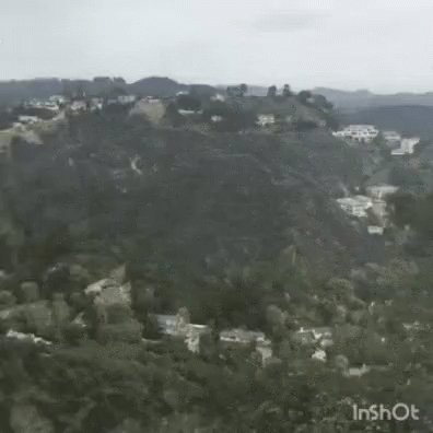 Meme Funny GIF