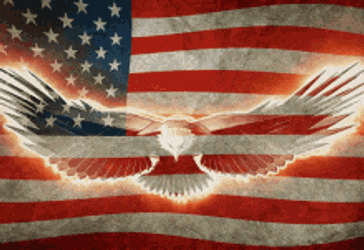 Memorial Day America Eagle Usa Patriot Anerica GIF