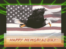 Memorial Day Eagle Flying GIF
